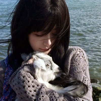 猫娘乐园